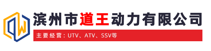 道王动力.png